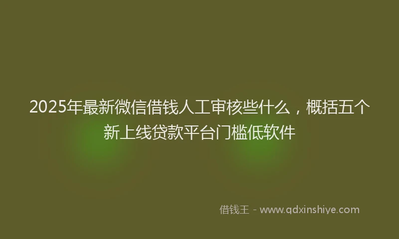 2025年最新微信借钱人工审核些什么，概括五个新上线贷款平台门槛低软件