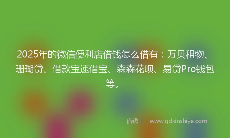 2025年的微信便利店借钱怎么借有：万贝租物、珊瑚贷、借款宝速借宝、森森花呗、易贷Pro钱包等。