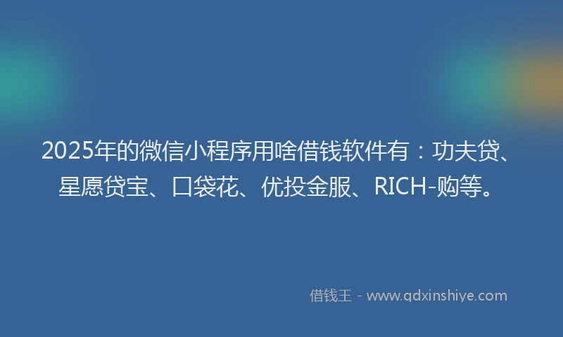 2025年的微信小程序用啥借钱软件有：功夫贷、星愿贷宝、口袋花、优投金服、RICH-购等。