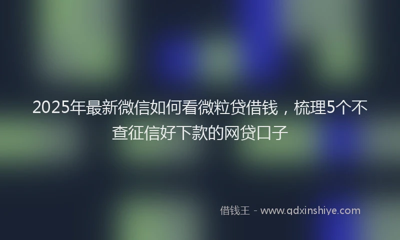 2025年最新微信如何看微粒贷借钱，梳理5个不查征信好下款的网贷口子