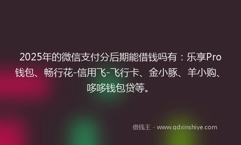 2025年的微信支付分后期能借钱吗有：乐享Pro钱包、畅行花-信用飞-飞行卡、金小豚、羊小购、哆哆钱包贷等。