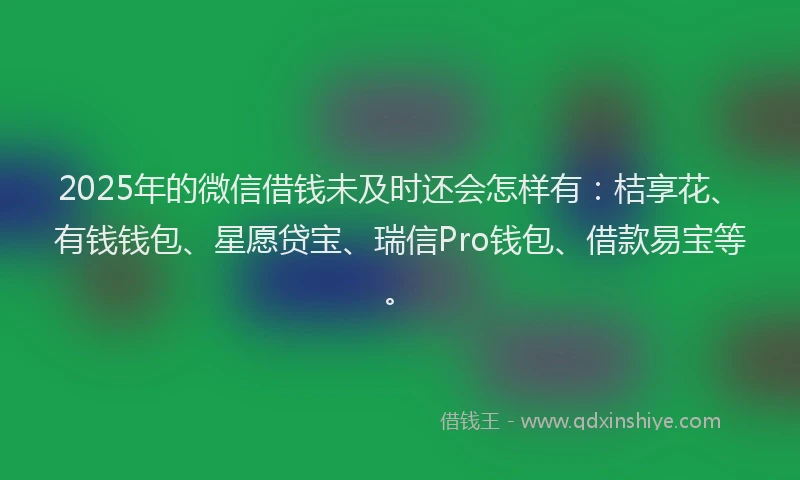 2025年的微信借钱未及时还会怎样有：桔享花、有钱钱包、星愿贷宝、瑞信Pro钱包、借款易宝等。