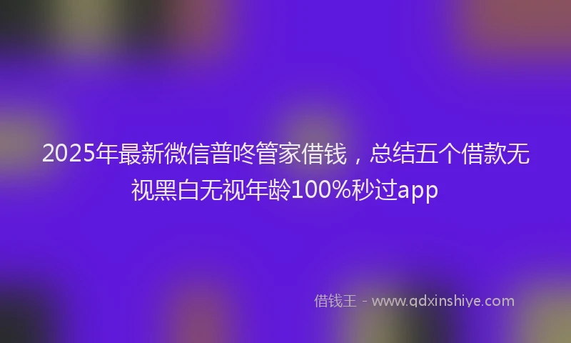 2025年最新微信普咚管家借钱，总结五个借款无视黑白无视年龄100%秒过app