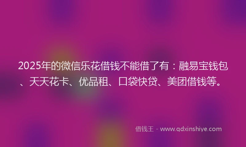 2025年的微信乐花借钱不能借了有：融易宝钱包、天天花卡、优品租、口袋快贷、美团借钱等。