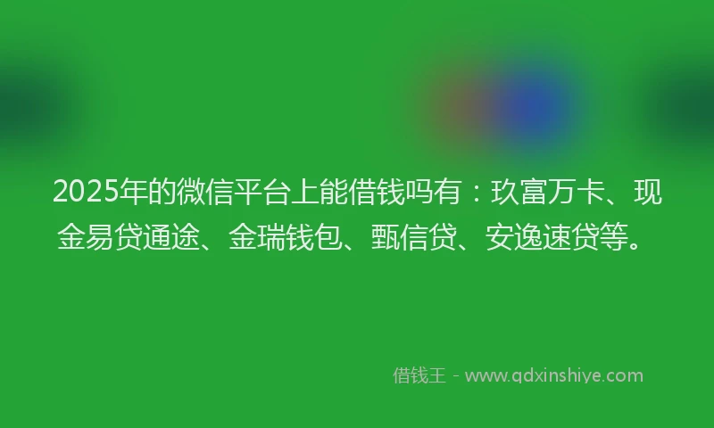 2025年的微信平台上能借钱吗有：玖富万卡、现金易贷通途、金瑞钱包、甄信贷、安逸速贷等。