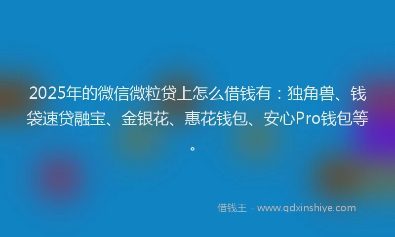 2025年的微信微粒贷上怎么借钱有：独角兽、钱袋速贷融宝、金银花、惠花钱包、安心Pro钱包等。