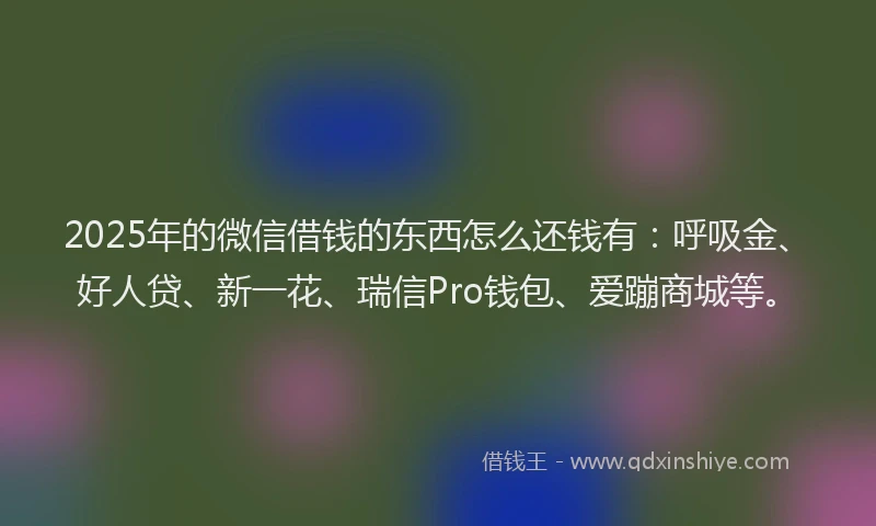 2025年的微信借钱的东西怎么还钱有：呼吸金、好人贷、新一花、瑞信Pro钱包、爱蹦商城等。