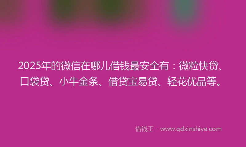 2025年的微信在哪儿借钱最安全有：微粒快贷、口袋贷、小牛金条、借贷宝易贷、轻花优品等。