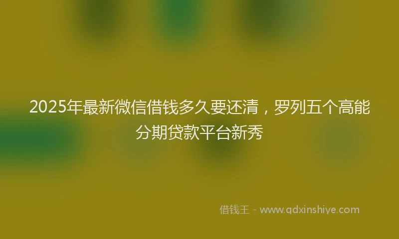 2025年最新微信借钱多久要还清，罗列五个高能分期贷款平台新秀