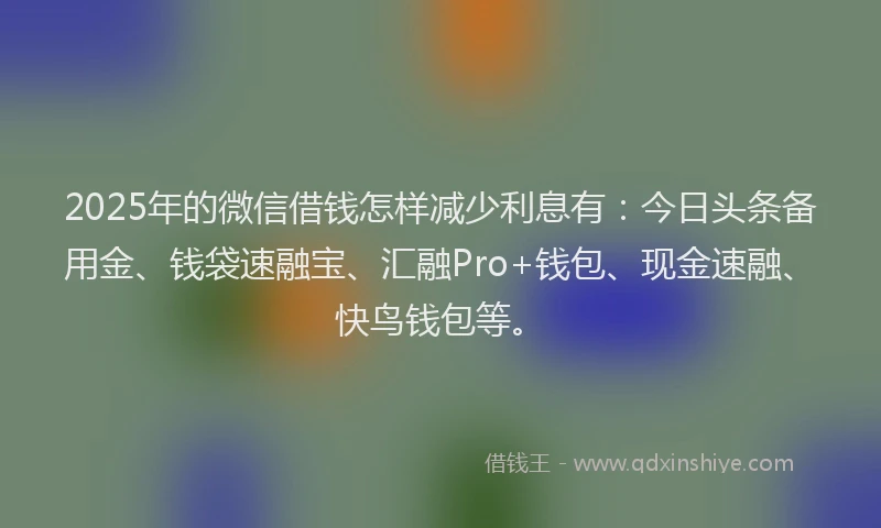 2025年的微信借钱怎样减少利息有：今日头条备用金、钱袋速融宝、汇融Pro+钱包、现金速融、快鸟钱包等。