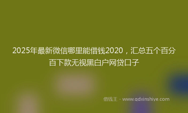 2025年最新微信哪里能借钱2020，汇总五个百分百下款无视黑白户网贷口子