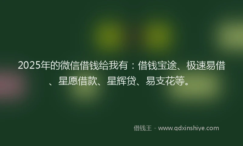 2025年的微信借钱给我有：借钱宝途、极速易借、星愿借款、星辉贷、易支花等。