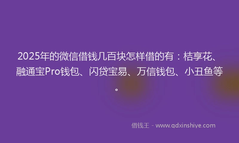 2025年的微信借钱几百块怎样借的有：桔享花、融通宝Pro钱包、闪贷宝易、万信钱包、小丑鱼等。