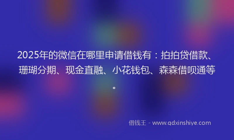 2025年的微信在哪里申请借钱有：拍拍贷借款、珊瑚分期、现金直融、小花钱包、森森借呗通等。