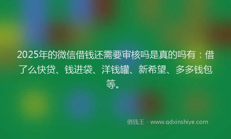 2025年的微信借钱还需要审核吗是真的吗有：借了么快贷、钱进袋、洋钱罐、新希望、多多钱包等。