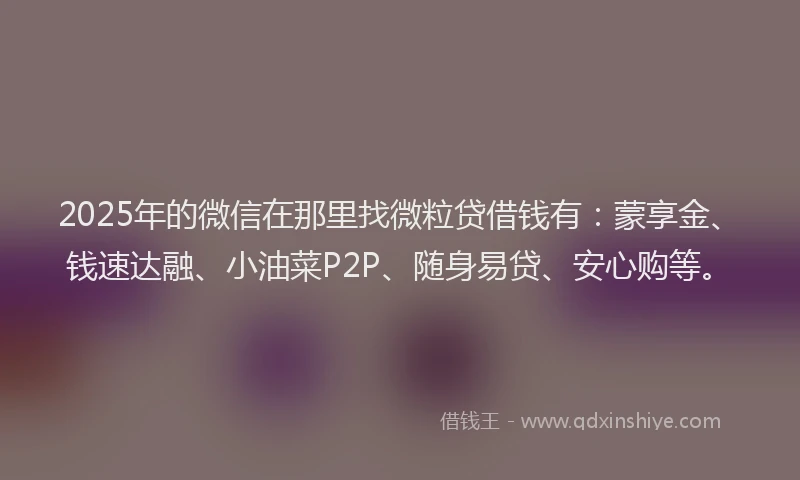 2025年的微信在那里找微粒贷借钱有：蒙享金、钱速达融、小油菜P2P、随身易贷、安心购等。