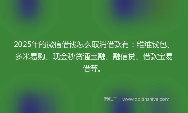 2025年的微信借钱怎么取消借款有：维维钱包、多米易购、现金秒贷通宝融、融信贷、借款宝易借等。