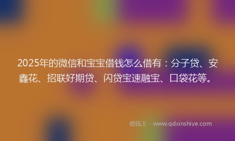 2025年的微信和宝宝借钱怎么借有：分子贷、安鑫花、招联好期贷、闪贷宝速融宝、口袋花等。