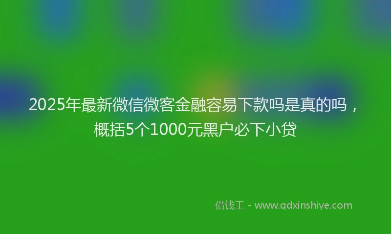2025年最新微信微客金融容易下款吗是真的吗，概括5个1000元黑户必下小贷