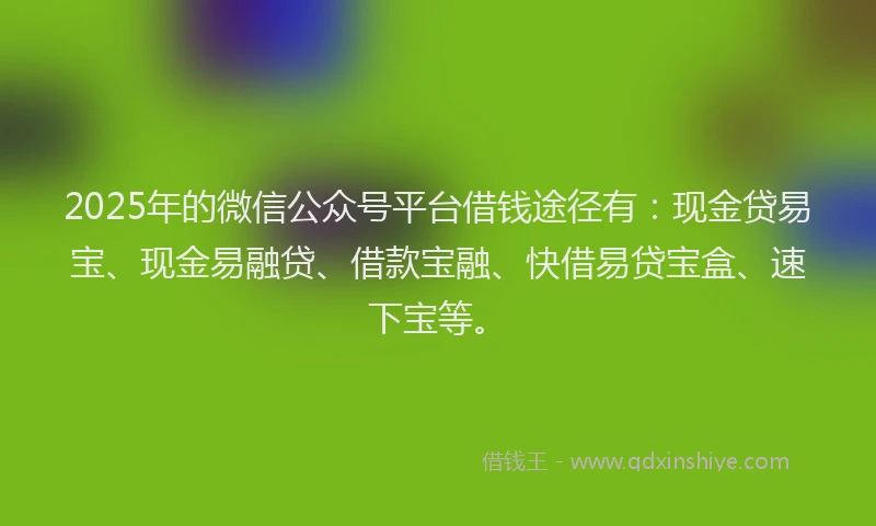 2025年的微信公众号平台借钱途径有：现金贷易宝、现金易融贷、借款宝融、快借易贷宝盒、速下宝等。