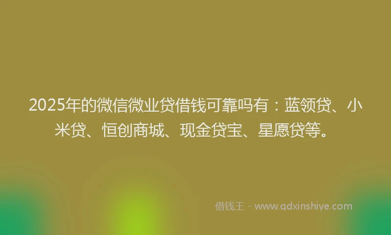 2025年的微信微业贷借钱可靠吗有：蓝领贷、小米贷、恒创商城、现金贷宝、星愿贷等。