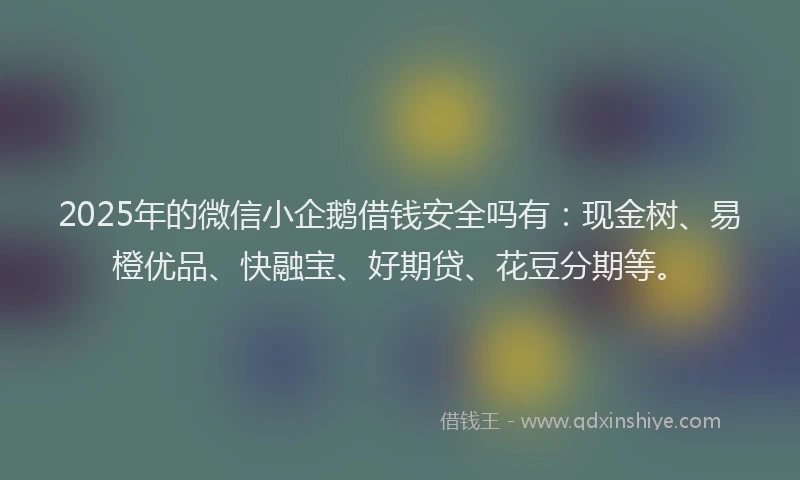 2025年的微信小企鹅借钱安全吗有：现金树、易橙优品、快融宝、好期贷、花豆分期等。