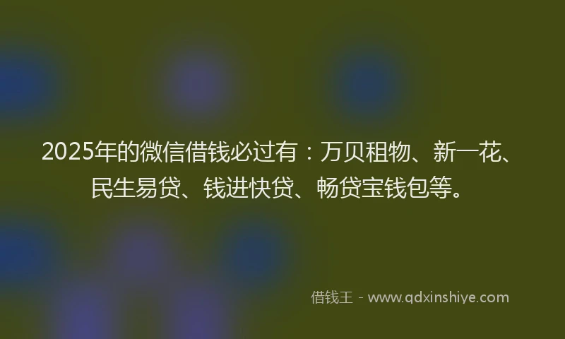 2025年的微信借钱必过有:万贝租物、新一花、民生易贷、钱进快贷、畅贷宝钱包等。