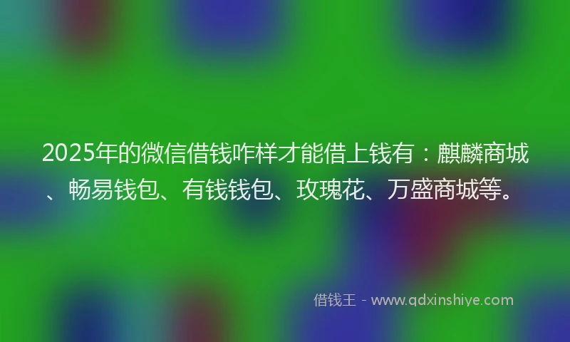 2025年的微信借钱咋样才能借上钱有：麒麟商城、畅易钱包、有钱钱包、玫瑰花、万盛商城等。