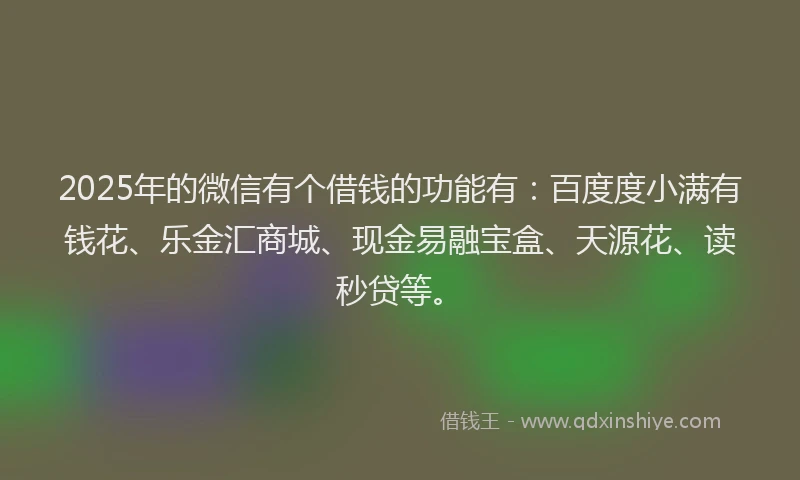 2025年的微信有个借钱的功能有：百度度小满有钱花、乐金汇商城、现金易融宝盒、天源花、读秒贷等。