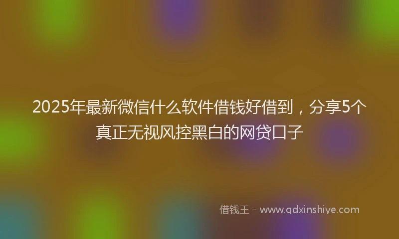2025年最新微信什么软件借钱好借到，分享5个真正无视风控黑白的网贷口子