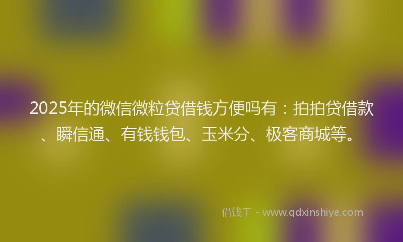 2025年的微信微粒贷借钱方便吗有：拍拍贷借款、瞬信通、有钱钱包、玉米分、极客商城等。