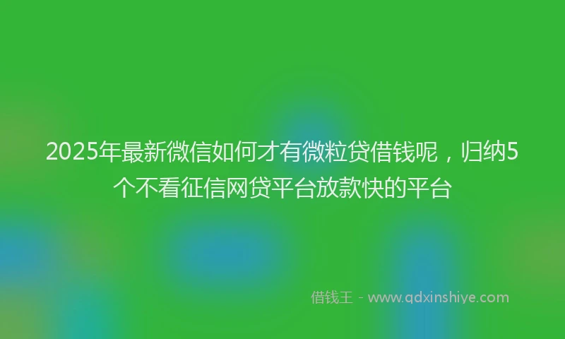 2025年最新微信如何才有微粒贷借钱呢，归纳5个不看征信网贷平台放款快的平台