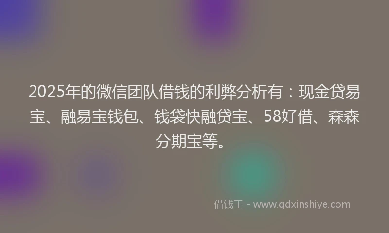 2025年的微信团队借钱的利弊分析有：现金贷易宝、融易宝钱包、钱袋快融贷宝、58好借、森森分期宝等。