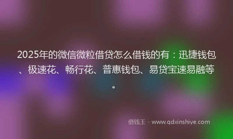 2025年的微信微粒借贷怎么借钱的有：迅捷钱包、极速花、畅行花、普惠钱包、易贷宝速易融等。