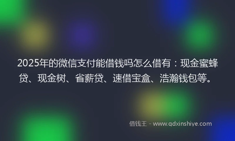 2025年的微信支付能借钱吗怎么借有：现金蜜蜂贷、现金树、省薪贷、速借宝盒、浩瀚钱包等。