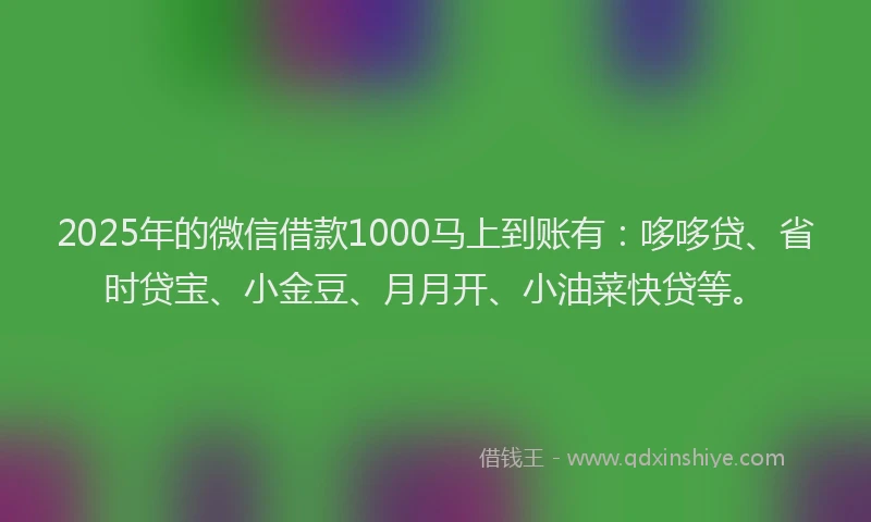 2025年的微信借款1000马上到账有：哆哆贷、省时贷宝、小金豆、月月开、小油菜快贷等。