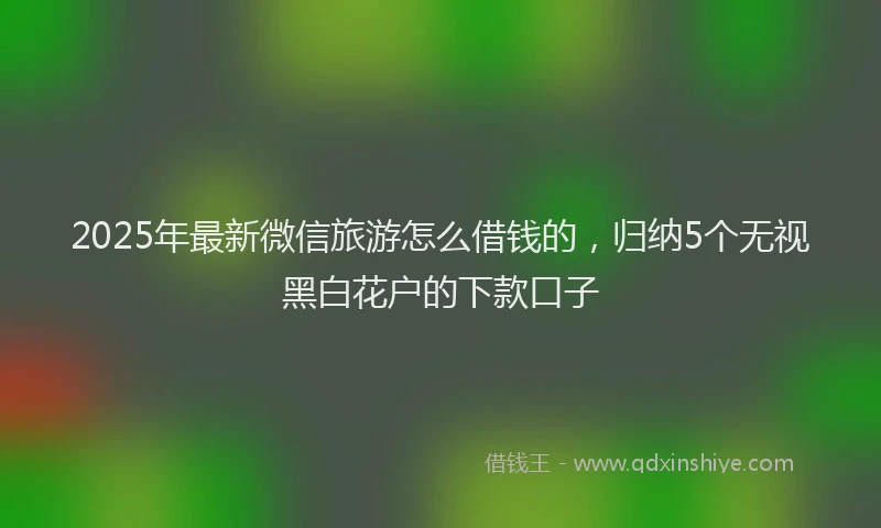 2025年最新微信旅游怎么借钱的，归纳5个无视黑白花户的下款口子