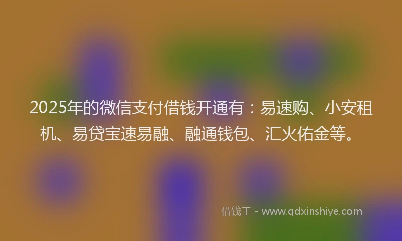 2025年的微信支付借钱开通有：易速购、小安租机、易贷宝速易融、融通钱包、汇火佑金等。