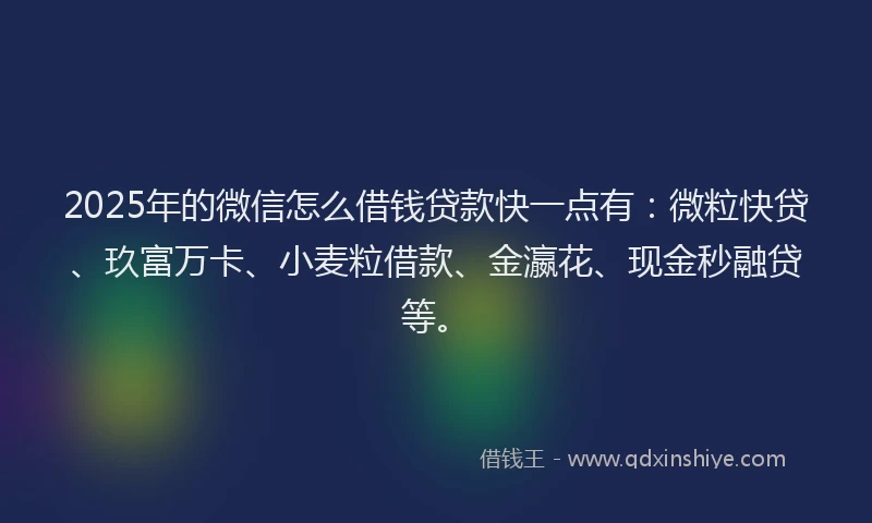 2025年的微信怎么借钱贷款快一点有：微粒快贷、玖富万卡、小麦粒借款、金瀛花、现金秒融贷等。