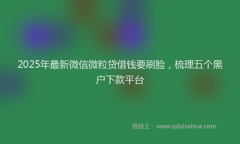 2025年最新微信微粒贷借钱要刷脸，梳理五个黑户下款平台
