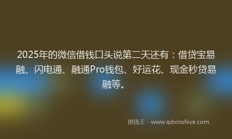 2025年的微信借钱口头说第二天还有：借贷宝易融、闪电通、融通Pro钱包、好运花、现金秒贷易融等。