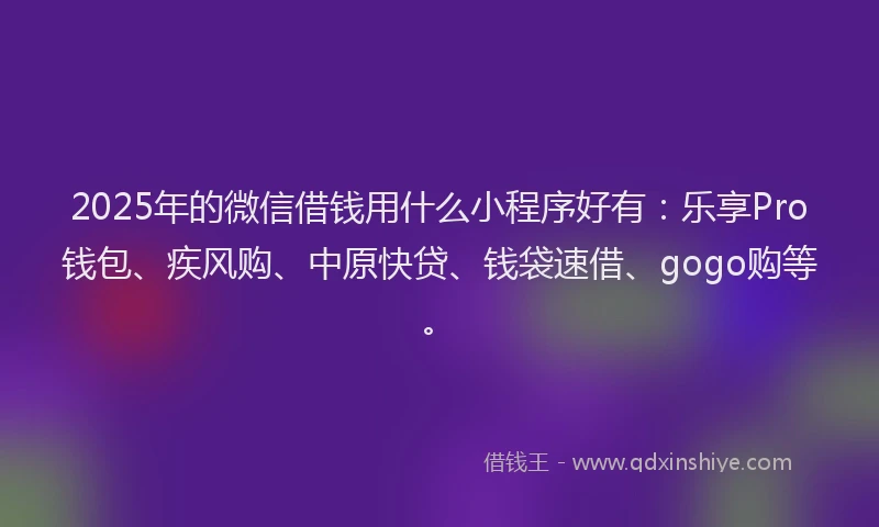 2025年的微信借钱用什么小程序好有：乐享Pro钱包、疾风购、中原快贷、钱袋速借、gogo购等。