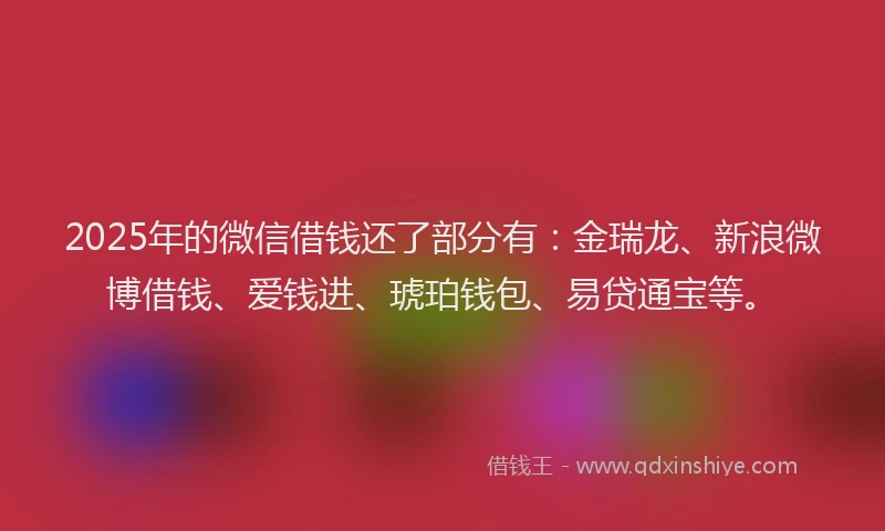 2025年的微信借钱还了部分有：金瑞龙、新浪微博借钱、爱钱进、琥珀钱包、易贷通宝等。