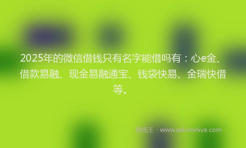 2025年的微信借钱只有名字能借吗有：心e金、借款易融、现金易融通宝、钱袋快易、金瑞快借等。