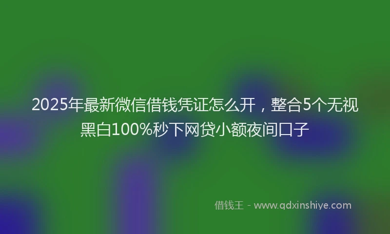 2025年最新微信借钱凭证怎么开，整合5个无视黑白100%秒下网贷小额夜间口子