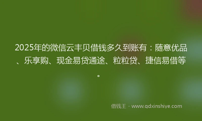 2025年的微信云丰贝借钱多久到账有：随意优品、乐享购、现金易贷通途、粒粒贷、捷信易借等。