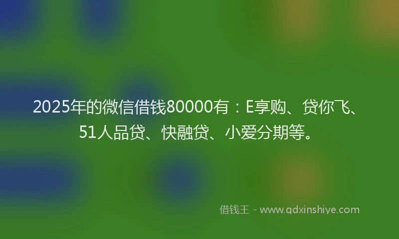 2025年的微信借钱80000有：E享购、贷你飞、51人品贷、快融贷、小爱分期等。