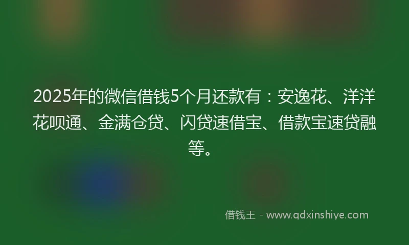 2025年的微信借钱5个月还款有：安逸花、洋洋花呗通、金满仓贷、闪贷速借宝、借款宝速贷融等。