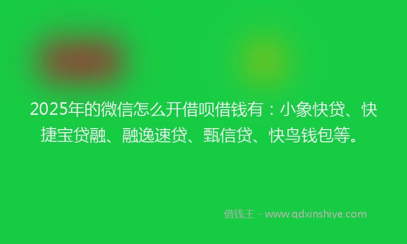 2025年的微信怎么开借呗借钱有：小象快贷、快捷宝贷融、融逸速贷、甄信贷、快鸟钱包等。