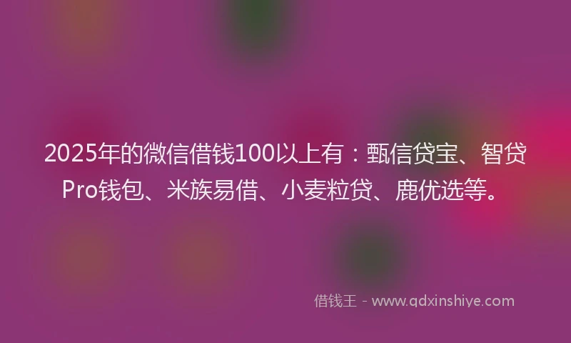 2025年的微信借钱100以上有：甄信贷宝、智贷Pro钱包、米族易借、小麦粒贷、鹿优选等。
